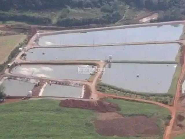Sítio / Chácara para Venda em Nova Santa Rosa/PR Zona Rural