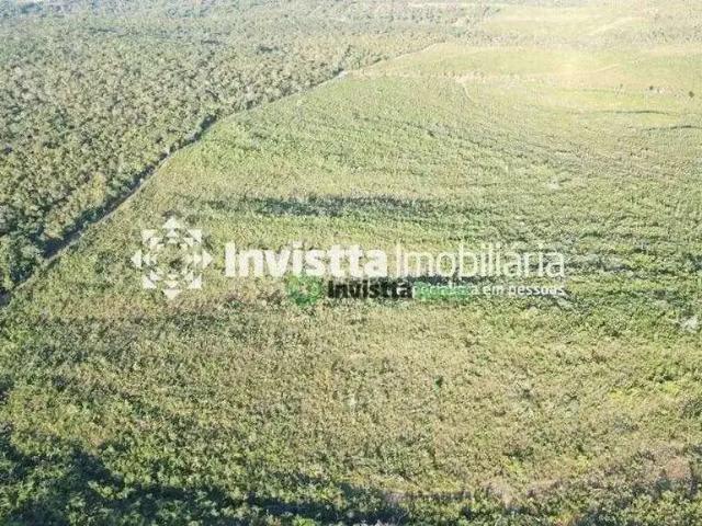 Sítio / Chácara para Venda em Novo Acordo/TO Zona Rural