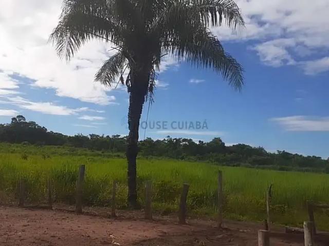 Sítio / Chácara para Venda em Nobres/MT Zona Rural 2 Quartos