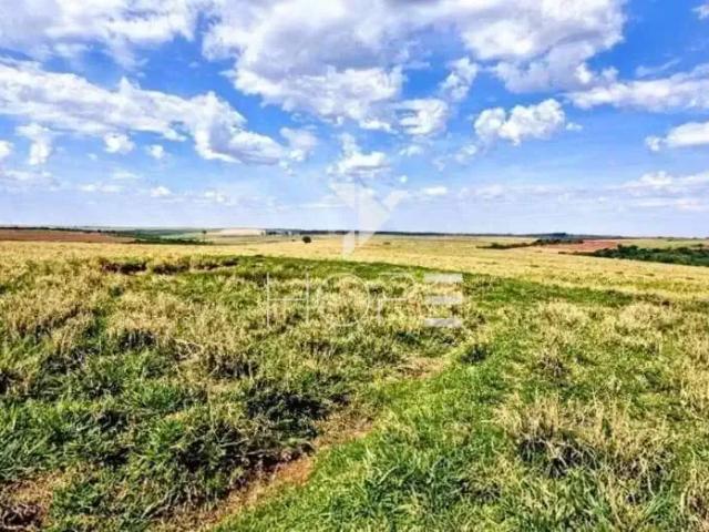 Sítio / Chácara para Venda em Nossa Senhora das Graças/PR Zona Rural 1 Quartos