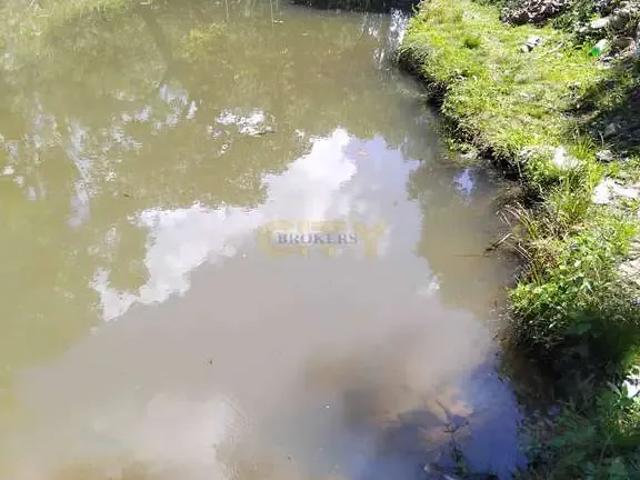 Sítio / Chácara para Venda em Nossa Senhora do Livramento/MT Zona Rural 4 Quartos