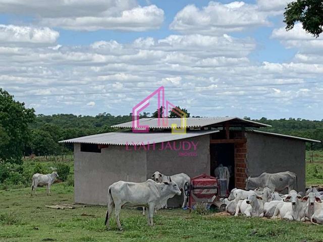 Sítio / Chácara para Venda em Nossa Senhora do Livramento/MT Zona Rural 6 Quartos