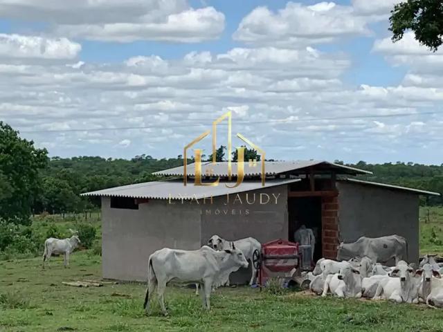 Sítio / Chácara para Venda em Nossa Senhora do Livramento/MT Zona Rural 6 Quartos