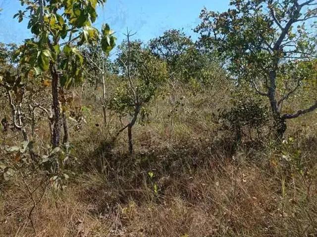 Sítio / Chácara para Venda em Nossa Senhora do Livramento/MT Zona Rural 1 Quartos