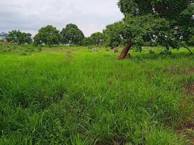 Sítio / Chácara para Venda em Nossa Senhora do Livramento/MT Zona Rural 1 Quartos