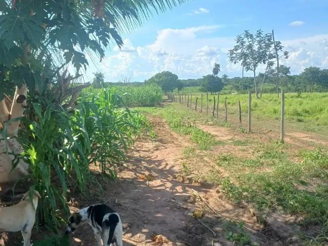 Sítio / Chácara para Venda em Nossa Senhora do Livramento/MT Zona Rural 2 Quartos