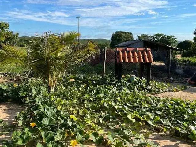Sítio / Chácara para Venda em Nossa Senhora do Livramento/MT Zona Rural 3 Quartos