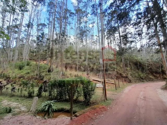 Sítio / Chácara para Venda em Natividade da Serra/SP Pouso Frio 3 Quartos