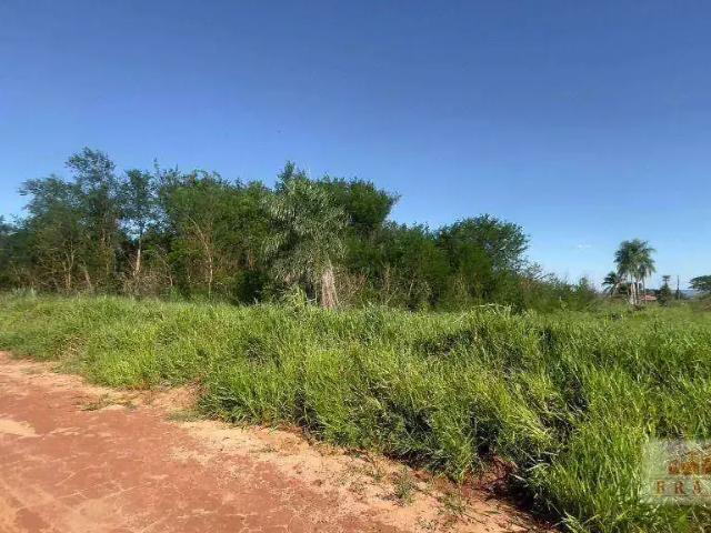 Sítio / Chácara para Venda em Naviraí/MS Chácara de Recreio Recanto do Bosque