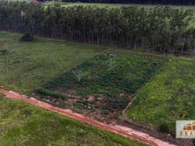 Sítio / Chácara para Venda em Naviraí/MS Chácara de Recreio Recanto do Bosque