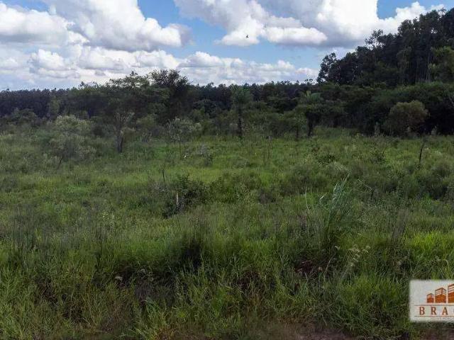Sítio / Chácara para Venda em Naviraí/MS Chácara de Recreio Recanto do Bosque 1 Quartos