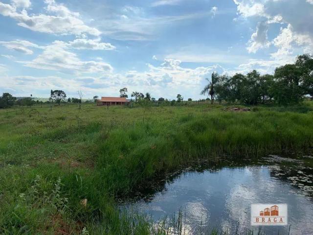 Sítio / Chácara para Venda em Naviraí/MS Zona Rural