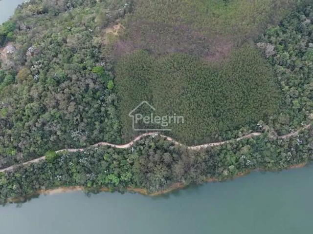 Sítio / Chácara para Venda em Nazaré Paulista/SP Santa Luzia