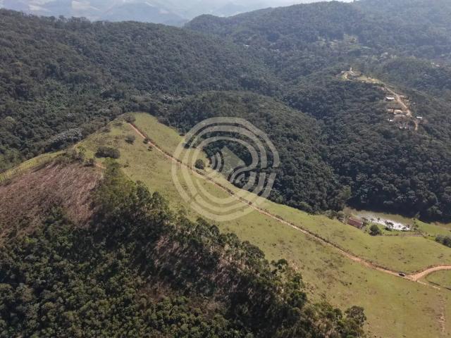 Sítio / Chácara para Venda em Nazaré Paulista/SP Ribeirão Acima 3 Quartos