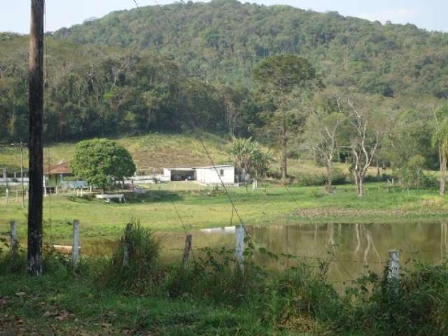 Sítio / Chácara para Venda em Nazaré Paulista/SP Vicente Nunes