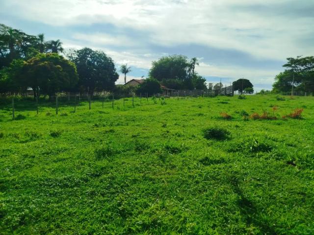 Sítio / Chácara para Venda em Nhandeara/SP Zona Rural 2 Quartos