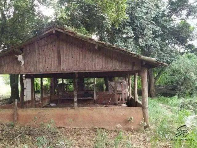 Sítio / Chácara para Venda em Nipoã/SP Zona Rural