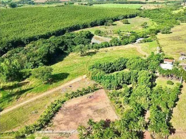 Sítio / Chácara para Venda em Nipoã/SP Zona Rural 3 Quartos