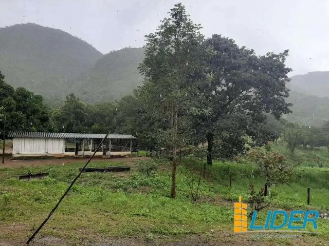 Sítio / Chácara para Venda em Niquelândia/GO Zona Rural