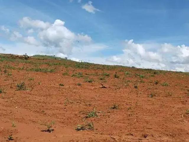 Sítio / Chácara para Venda em Niquelândia/GO Zona Rural