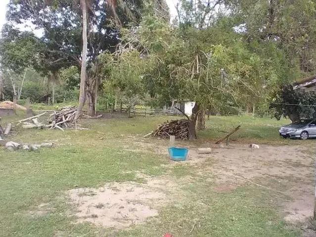 Sítio / Chácara para Venda em Nísia Floresta/RN Bonfim 3 Quartos