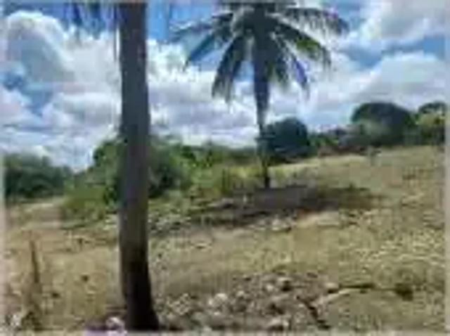 Sítio / Chácara para Venda em Nísia Floresta/RN Bonfim 3 Quartos