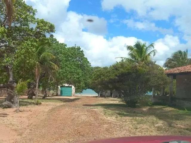 Sítio / Chácara para Venda em Nísia Floresta/RN Bonfim