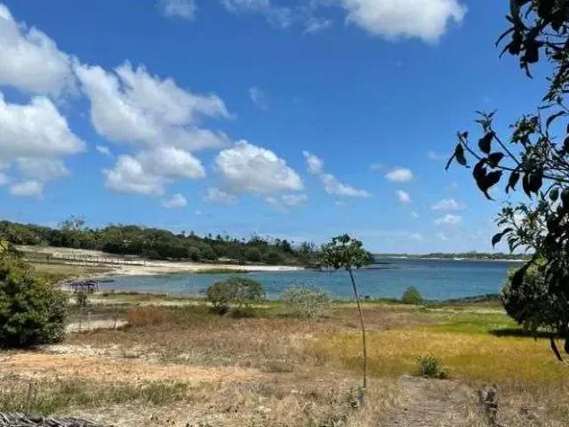 Sítio / Chácara para Venda em Nísia Floresta/RN Bonfim 6 Quartos