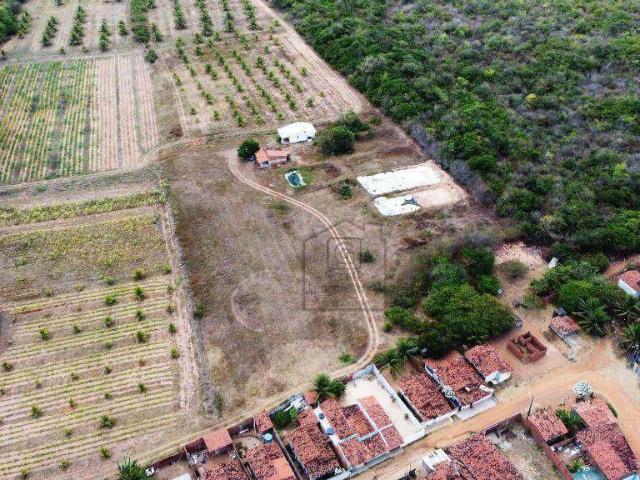 Sítio / Chácara para Venda em Nísia Floresta/RN Campo de Santana 1 Quartos
