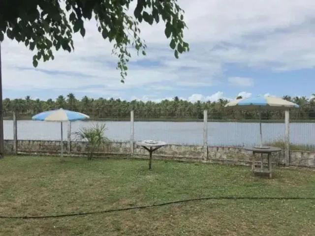 Sítio / Chácara para Venda em Nísia Floresta/RN Centro 3 Quartos