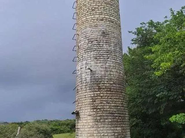 Sítio / Chácara para Venda em Nísia Floresta/RN Centro 3 Quartos