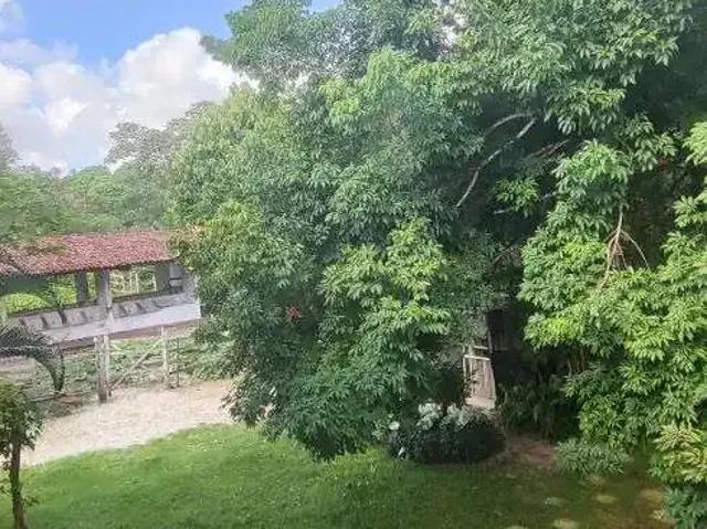 Sítio / Chácara para Venda em Nísia Floresta/RN Centro 6 Quartos
