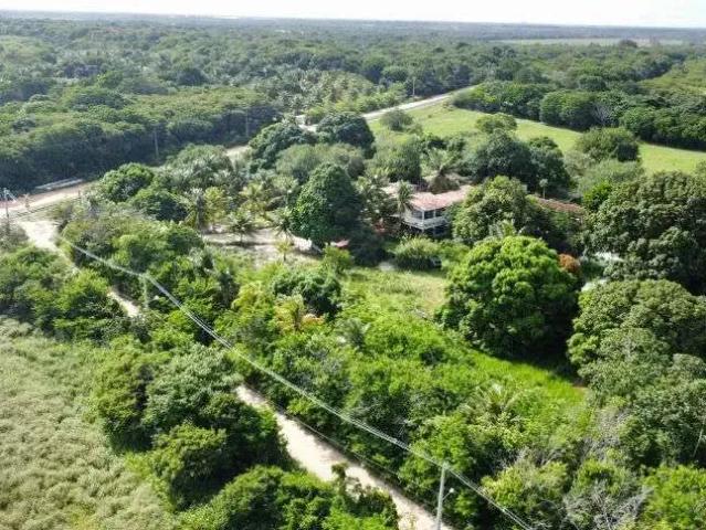 Sítio / Chácara para Venda em Nísia Floresta/RN Centro 6 Quartos