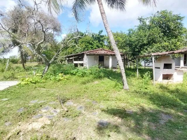 Sítio / Chácara para Venda em Nísia Floresta/RN Povoado de Pium