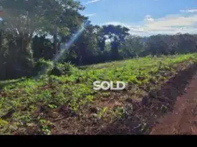 Sítio / Chácara para Venda em Nuporanga/SP Zona Rural 2 Quartos