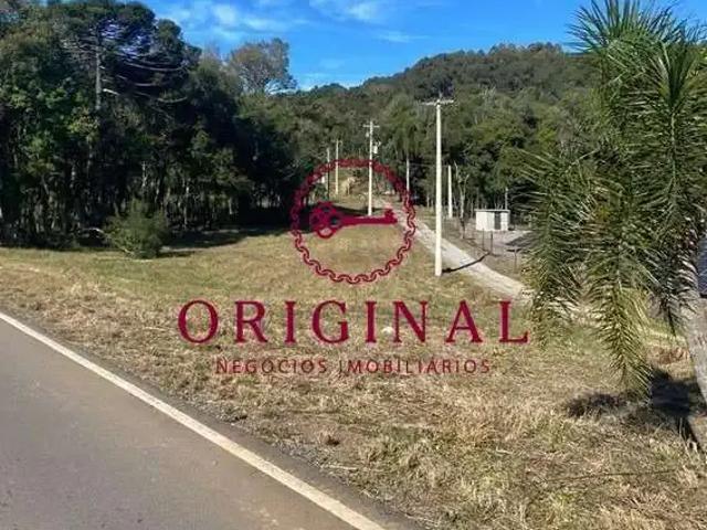 Sítio / Chácara para Venda em São Marcos/RS Pedras Brancas
