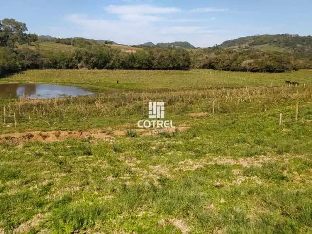 Sítio / Chácara para Venda em São Martinho da Serra/RS Zona Rural