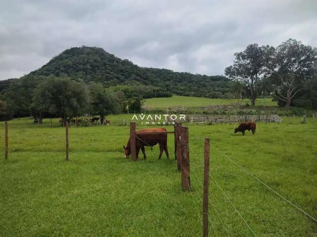 Sítio / Chácara para Venda em São Martinho da Serra/RS Zona Rural 2 Quartos