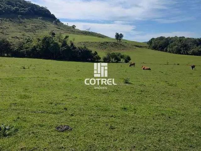 Sítio / Chácara para Venda em São Martinho da Serra/RS Zona Rural
