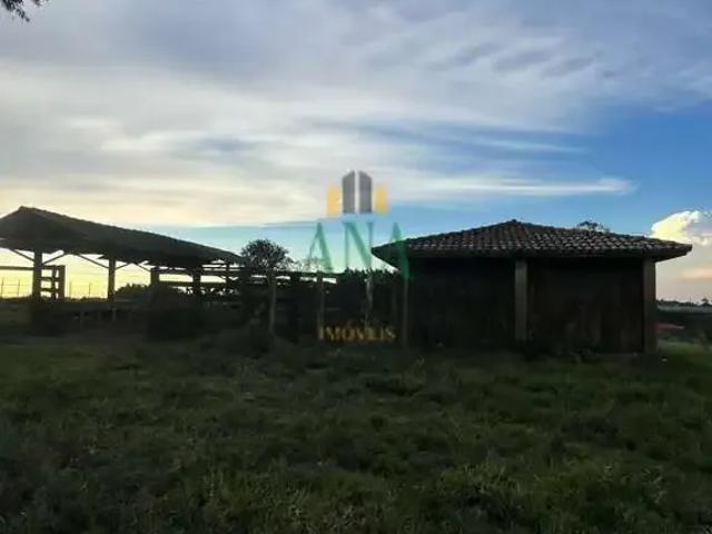Sítio / Chácara para Venda em São Miguel Arcanjo/SP Centro 1 Quartos