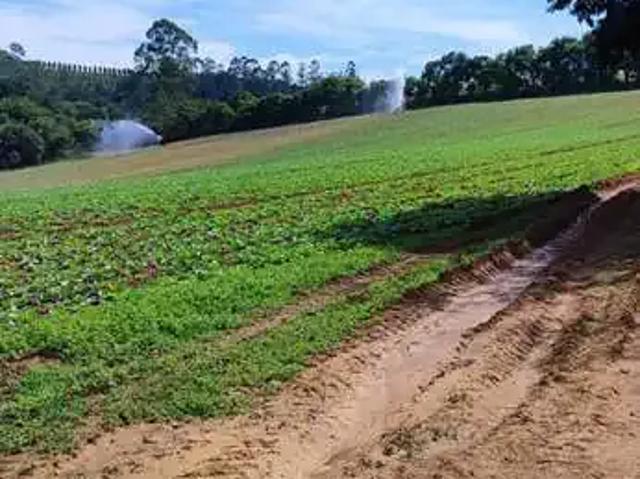 Sítio / Chácara para Venda em São Miguel Arcanjo/SP Centro 2 Quartos