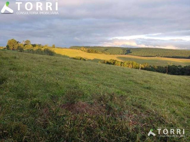 Sítio / Chácara para Venda em São Miguel Arcanjo/SP Centro 4 Quartos