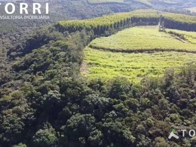 Sítio / Chácara para Venda em São Miguel Arcanjo/SP Centro