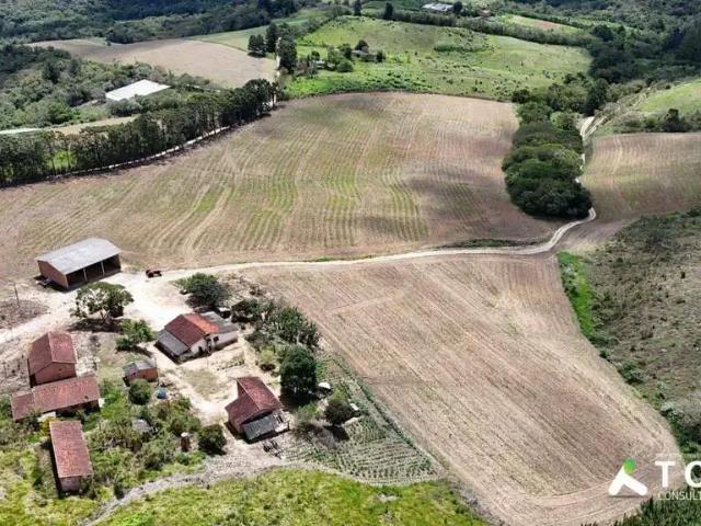 Sítio / Chácara para Venda em São Miguel Arcanjo/SP Centro