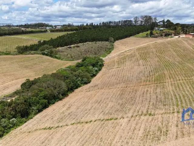 Sítio / Chácara para Venda em São Miguel Arcanjo/SP Zona Rural 1 Quartos