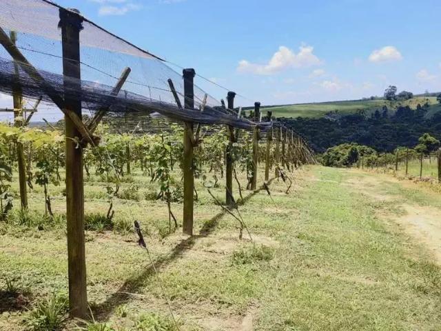 Sítio / Chácara para Venda em São Miguel Arcanjo/SP Zona Rural 2 Quartos
