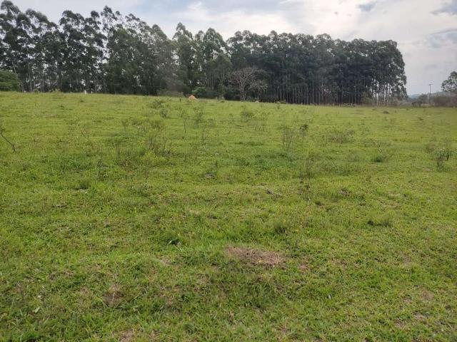 Sítio / Chácara para Venda em São Miguel Arcanjo/SP Zona Rural 3 Quartos