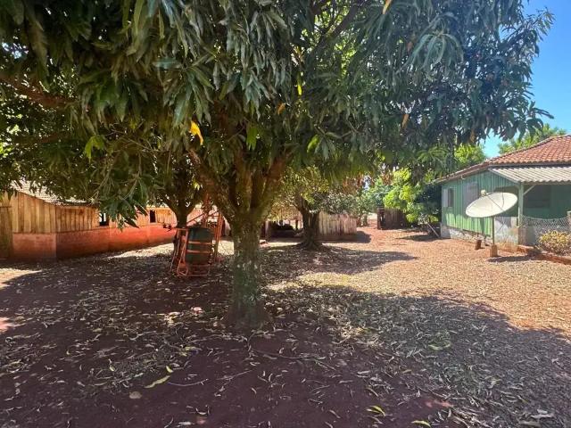 Sítio / Chácara para Venda em São Miguel do Iguaçu/PR Alto da Boa Vista 3 Quartos