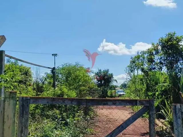 Sítio / Chácara para Venda em São Miguel do Iguaçu/PR Guanabara 5 Quartos