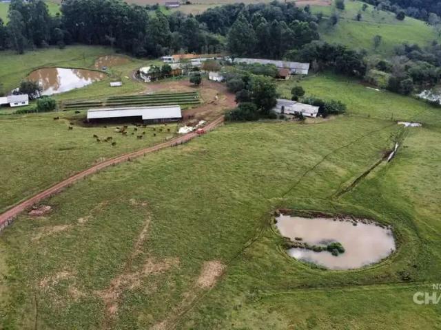 Sítio / Chácara para Venda em São Miguel do Oeste/SC Área Rural de São Miguel do Oeste 2 Quartos